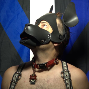 pup Spaz